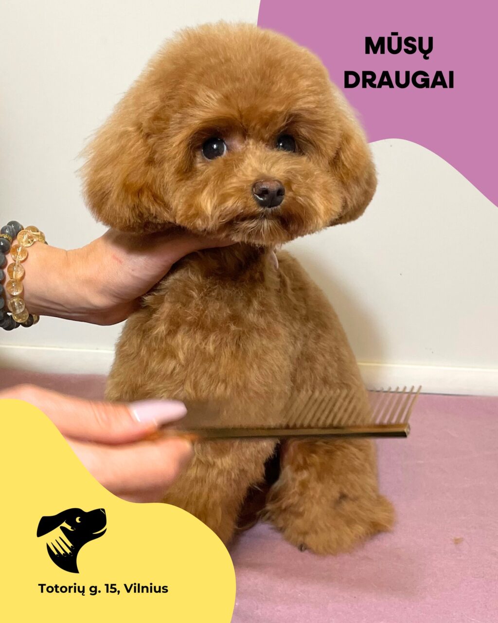 Instagram post from dumudu_vilnius. This post is in position 0.