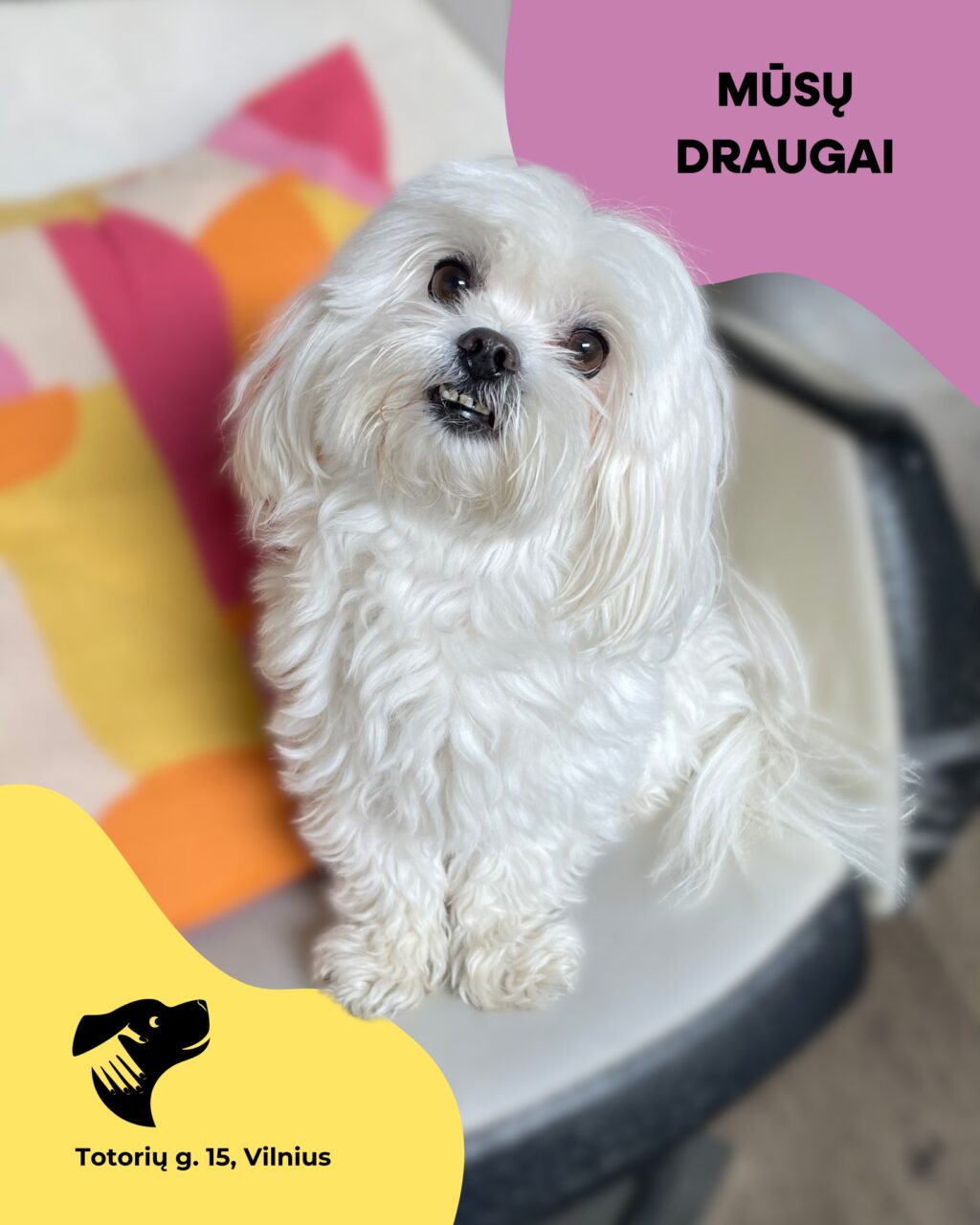 Instagram post from dumudu_vilnius. This post is in position 1.