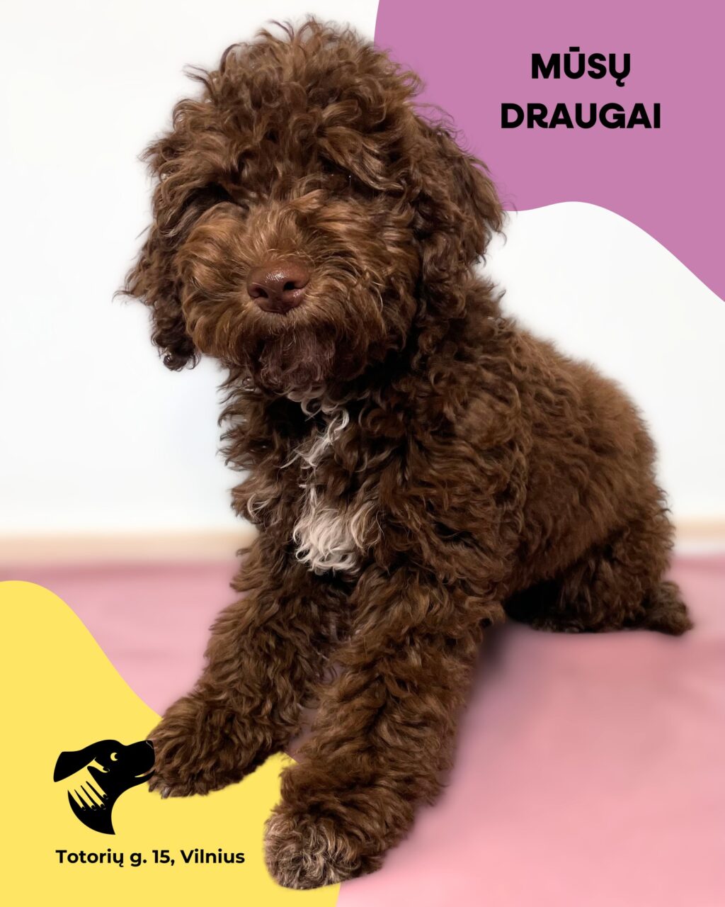 Instagram post from dumudu_vilnius. This post is in position 1.