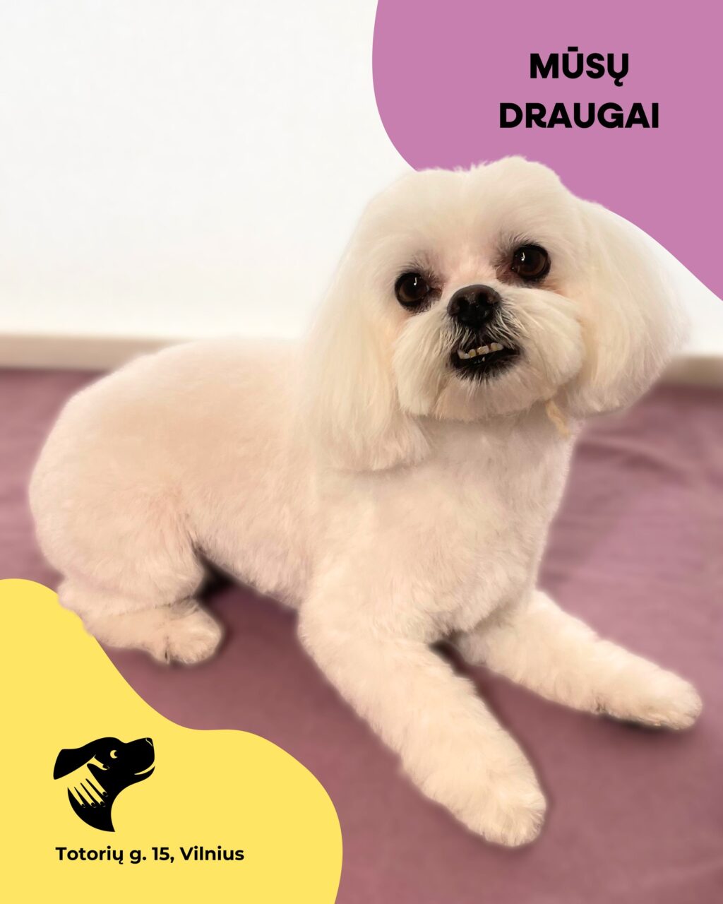 Instagram post from dumudu_vilnius. This post is in position 0.