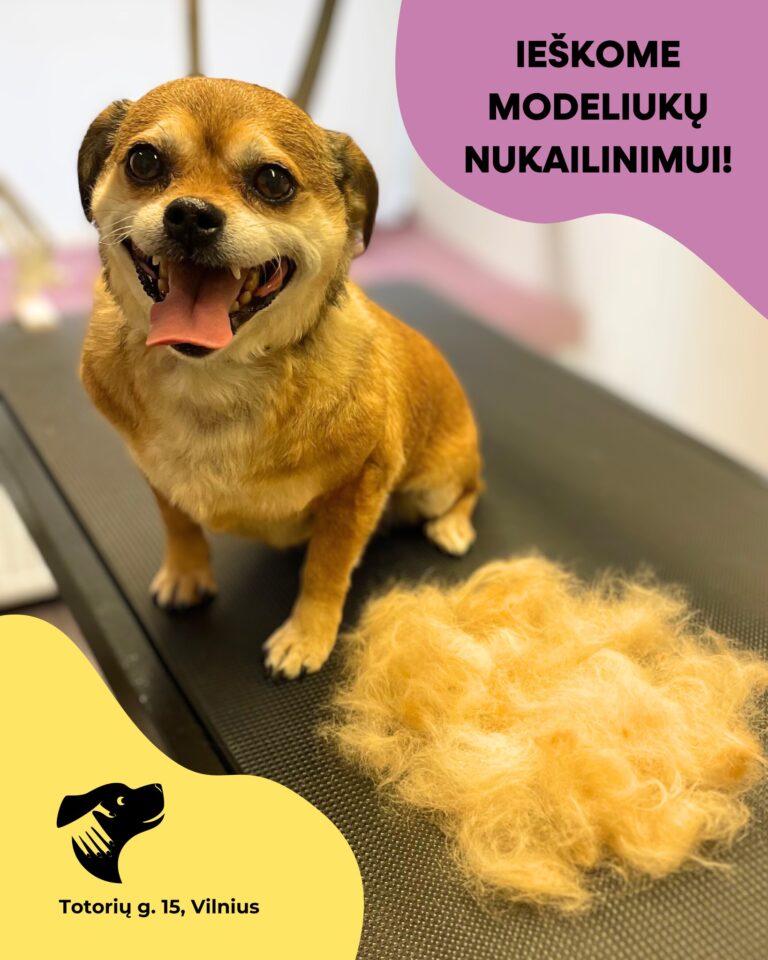 Instagram post from dumudu_vilnius. This post is in position 4.