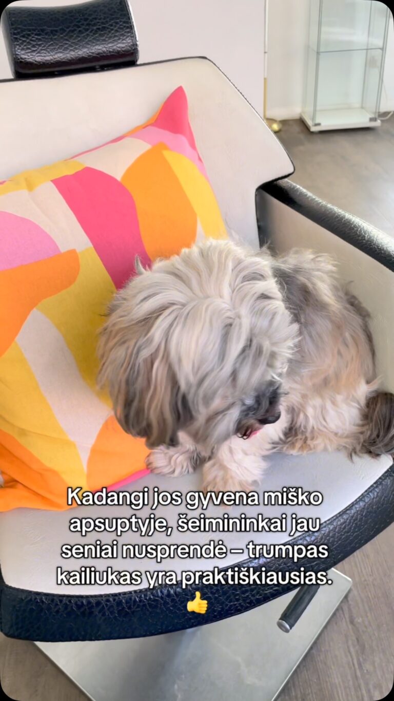 Instagram post from dumudu_vilnius. This post is in position 15.