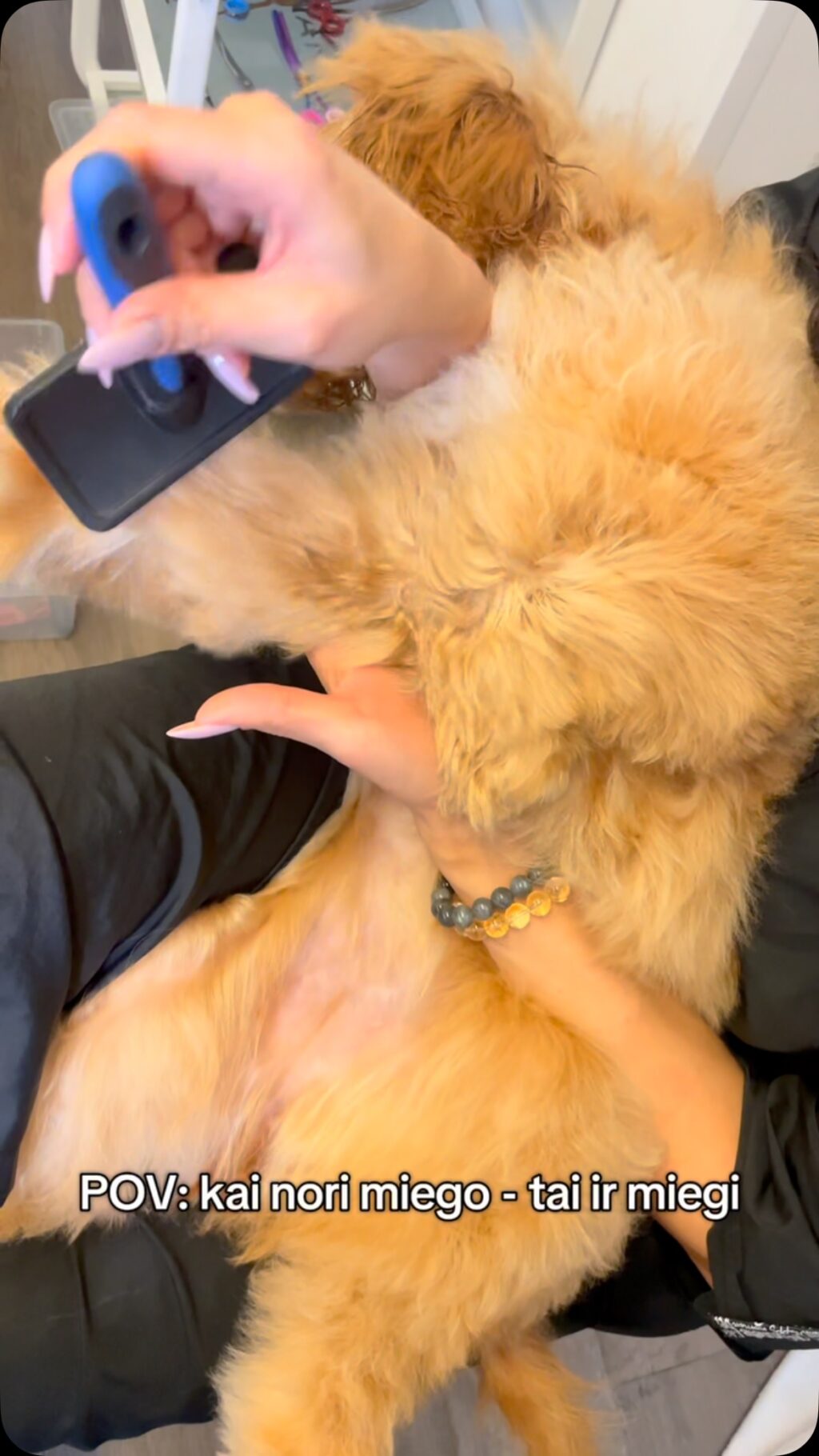 Instagram post from dumudu_vilnius. This post is in position 15.