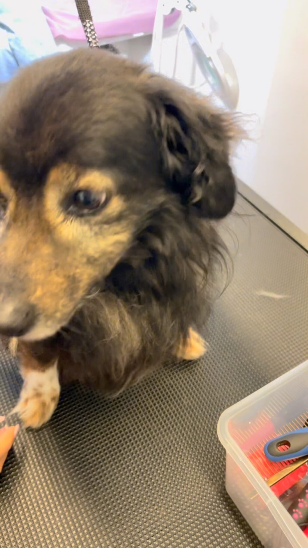 Instagram post from dumudu_vilnius. This post is in position 11.