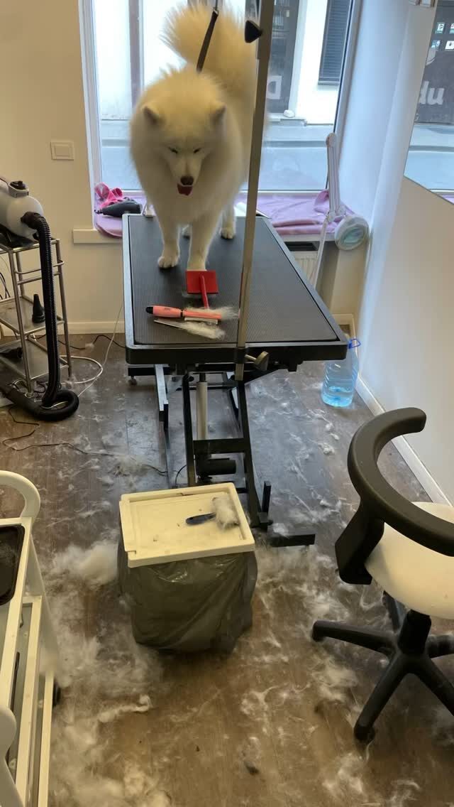 Instagram post from dumudu_vilnius. This post is in position 2.