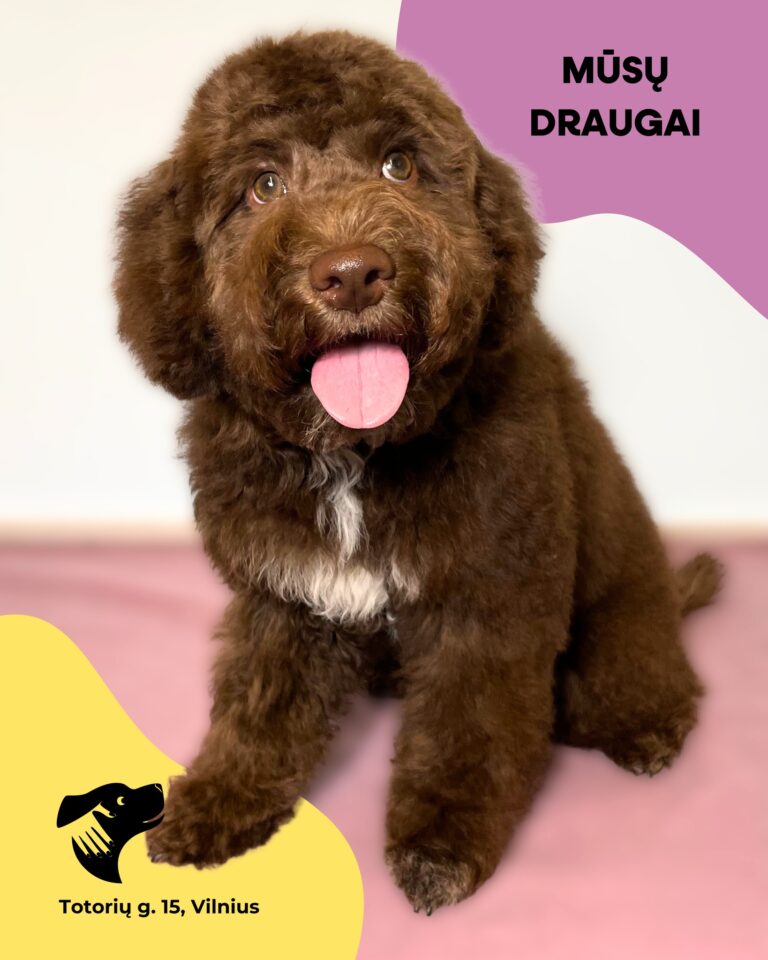 Instagram post from dumudu_vilnius. This post is in position 13.