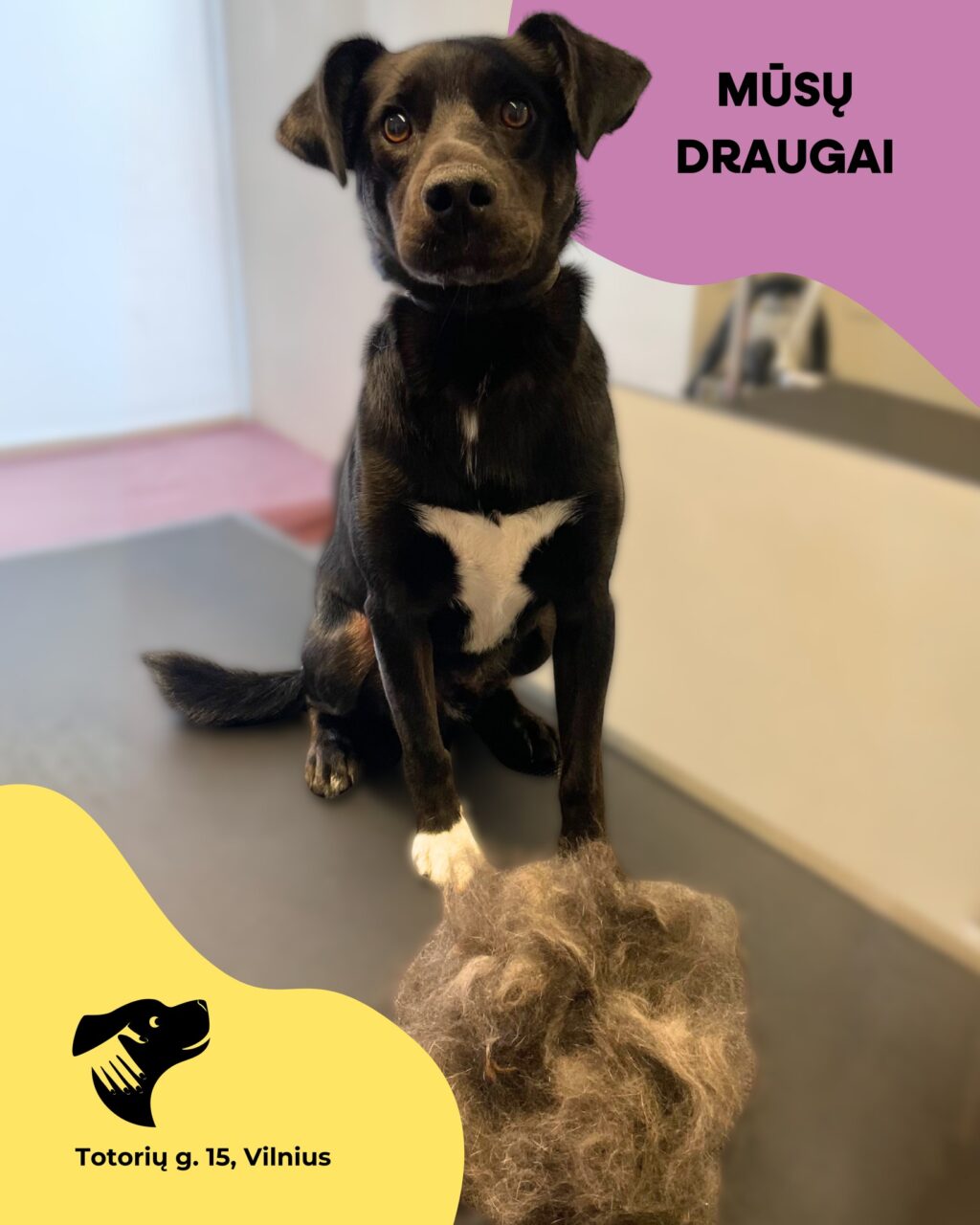 Instagram post from dumudu_vilnius. This post is in position 4.